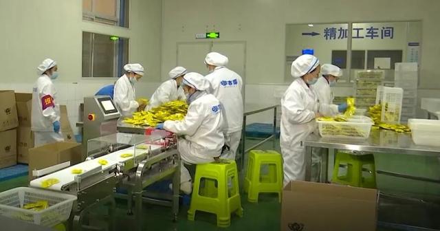 「一防兩不停 確保開門紅」望謨:加班加點(diǎn)趕制特色年貨 銷售食品